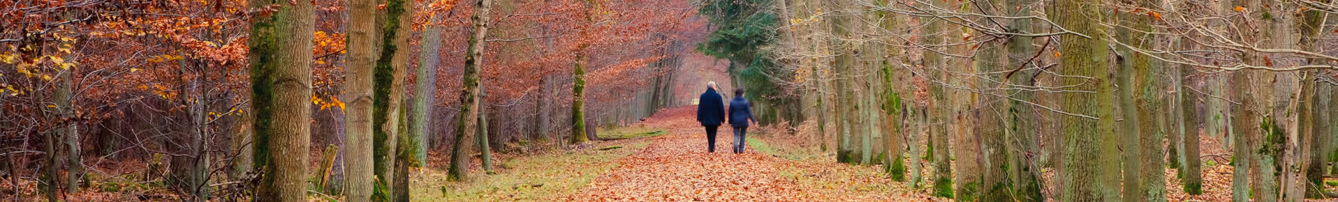 T & M Financial Planning, Blackpool, Lancashire